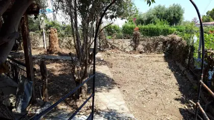 Plot Clearing in Gerakini, Chalkidiki